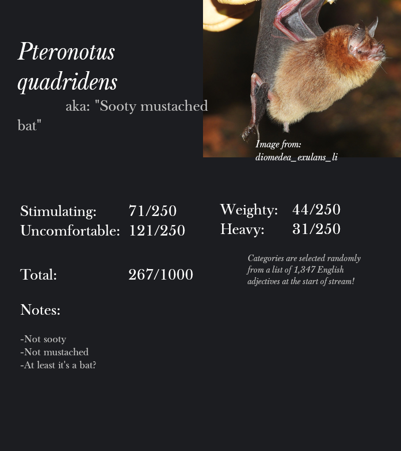 Pteronotus quadridens